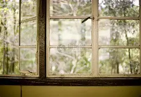 九游用户空间-郑钦文女王杯首轮轮空